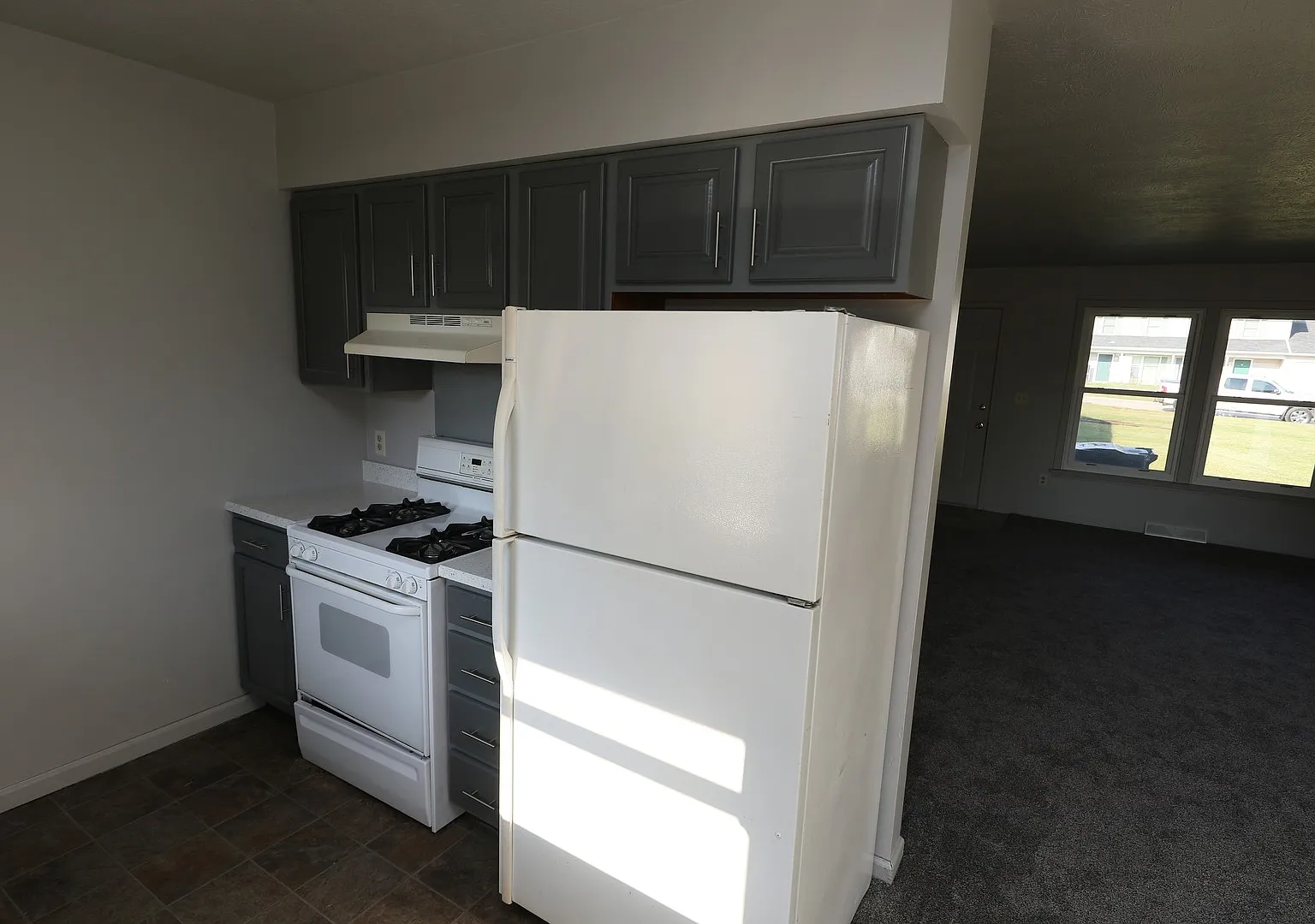 Nice, Recently Renovated 2-Bedroom Duplex in Middlebury School District — Photo 4