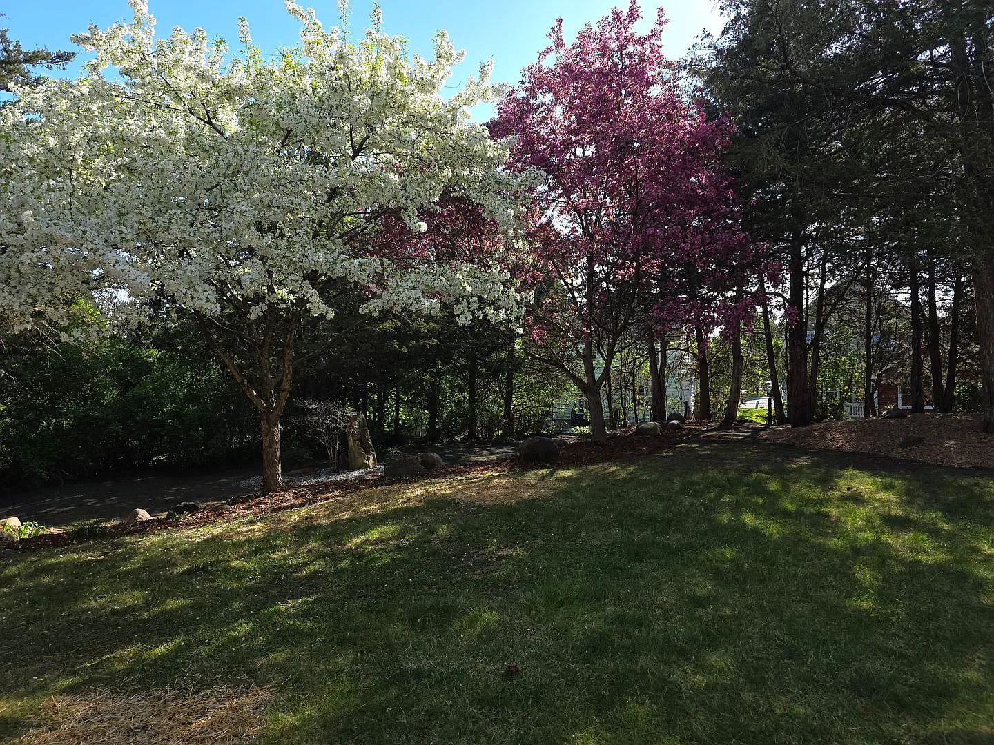 Limited-Time Move-In Special! Save $200 per Month for 12 months! — Photo 2