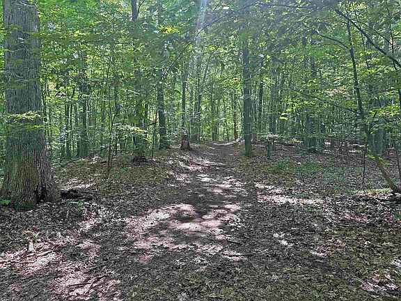 3rd image of 3724 S Fordney Rd