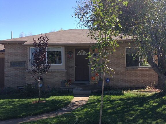 New trees throughout the yard