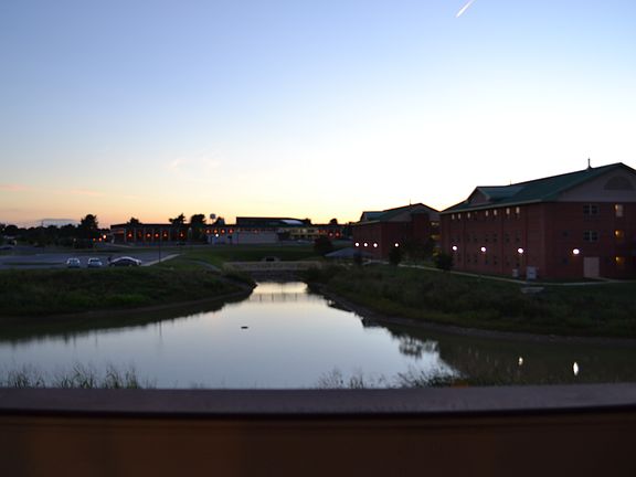 Pond View From Balcony