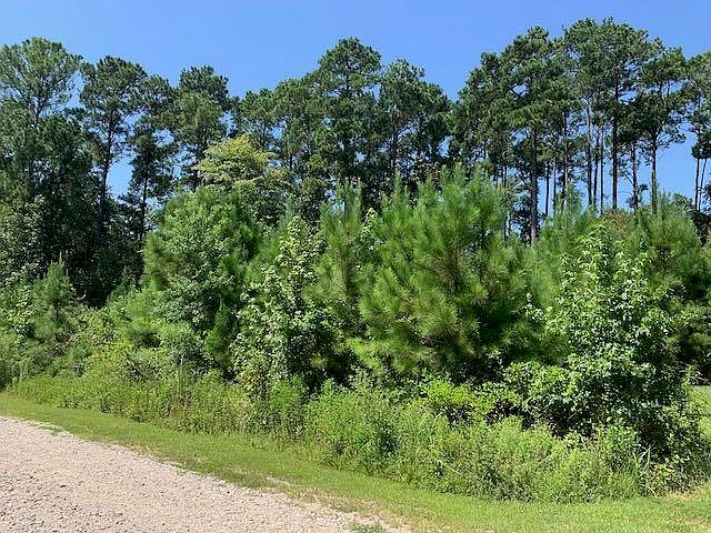 2nd image of Black Oak Ln