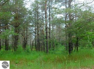 Riverview Rd, Fife Lake, MI 49633