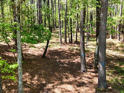 1171 Club Cove Dr #44, Greensboro, GA, 30642