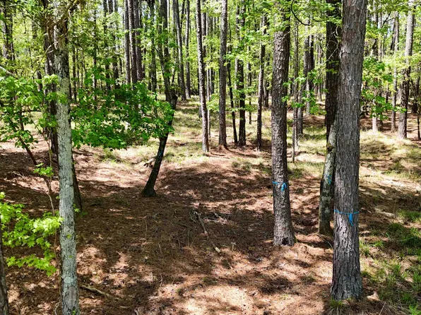 1171 Club Cove Dr #44, Greensboro, GA 30642