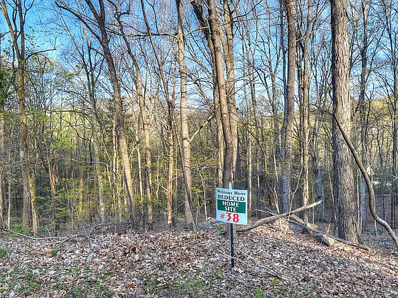 4th image of 38 Bluebird Dr