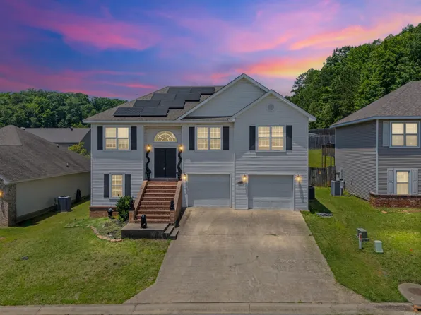 1007 Clinton Ct, Alexander, AR 72002