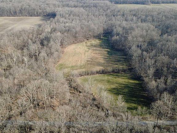 3rd image of E Coal Blf