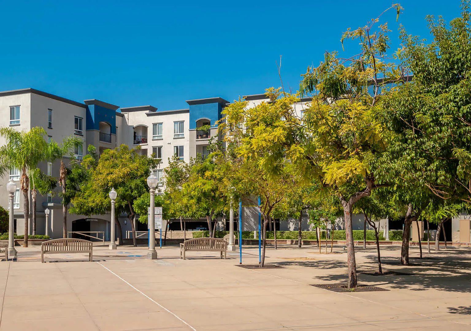 City Pointe — Photo 2