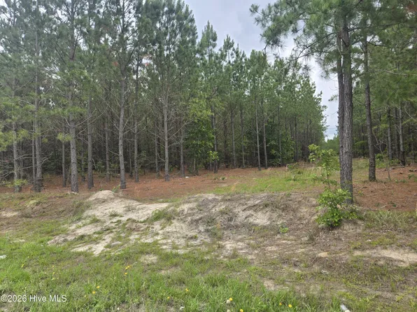 Tract 14 Belford Church Road, Jackson Springs, NC 27281