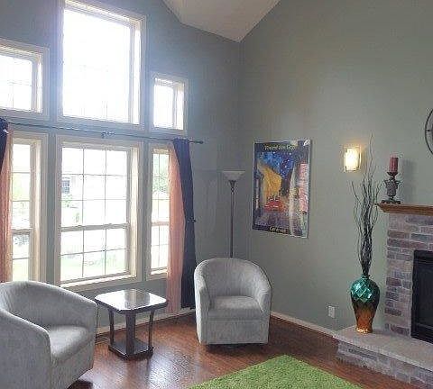Living room with cathedral ceiling