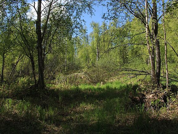 4th image of 0 Horizon Dr