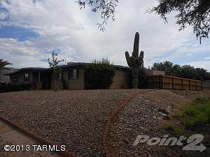 9248 E Palm Tree 005