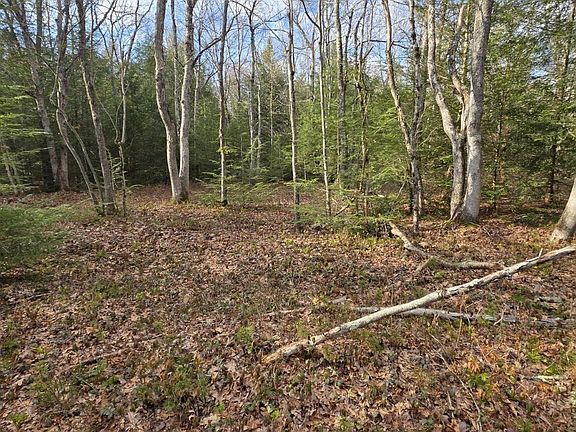 2nd image of Snowy Rdg