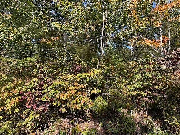 3rd image of LOT 353 Bay Heights Dr