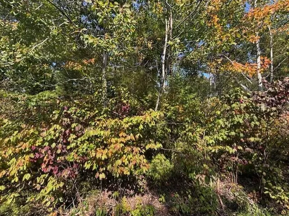 LOT 353 Bay Heights Dr, Presque Isle, MI 49777