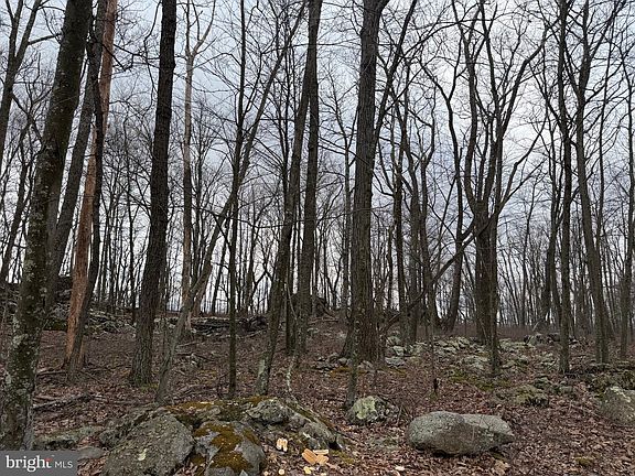 3rd image of LOT 287.2 Spring Mountain Dr