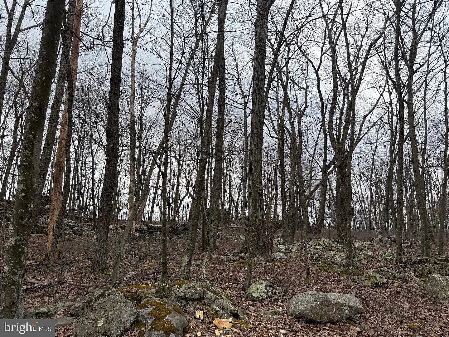 LOT 287.1 Spring Mountain Dr photo 1