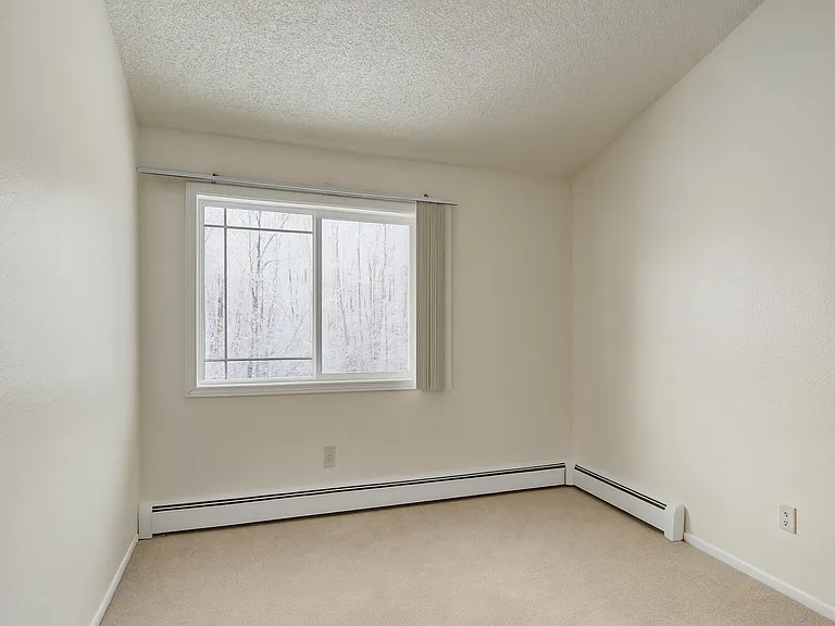 Conifer Grove — Photo 11