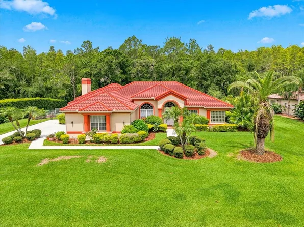 18621 Avenue Capri, Lutz, FL 33558