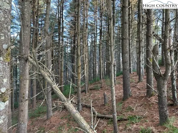 TBD Lot 308 Fawn Lane, West Jefferson, NC 28694