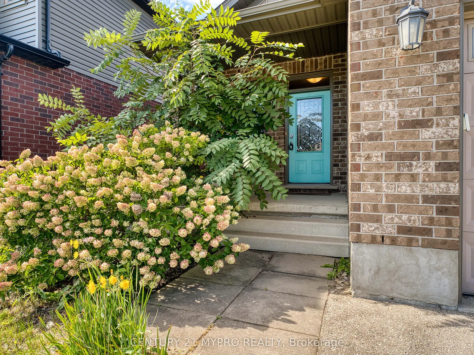 3 bed, $2,800 — Photo 3