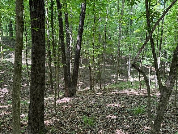 4th image of 0 County Road 30