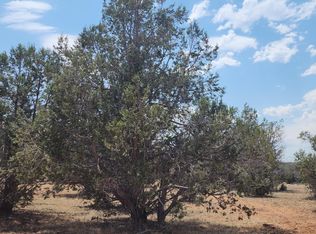 824 Spencer Run, Williams, AZ 86046