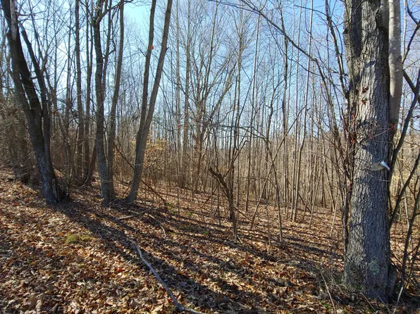LOT 10 Horseshoe Bend Rd, Goodview, VA 24095