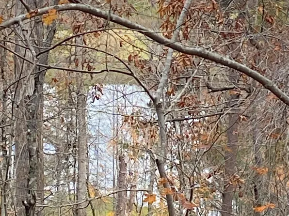 0 Raleigh Dr #8 & 9, Lake Lure, NC 28746