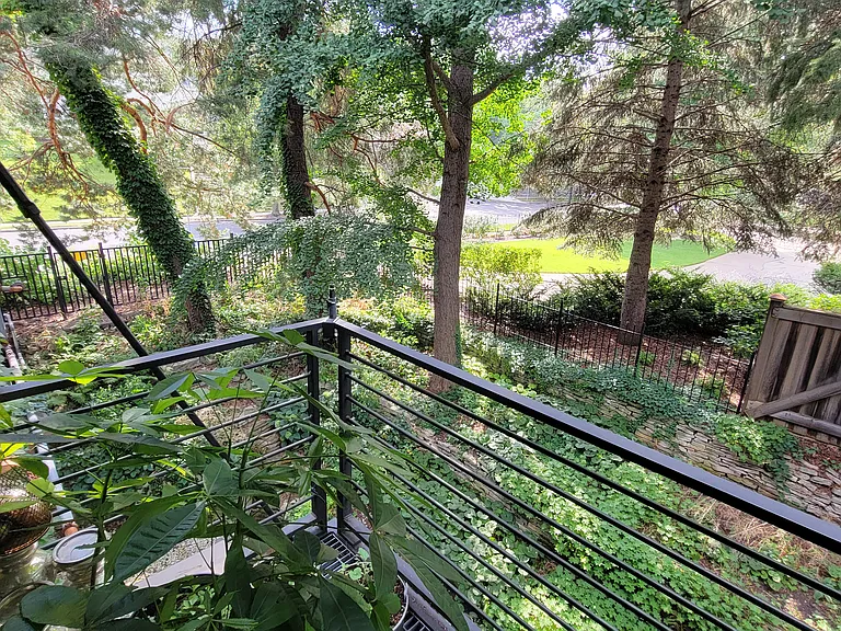 South view from patio - quiet back garden