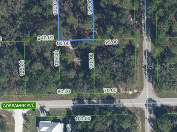 3226 Lake June Blvd Lot 130, Lake Placid, FL 33852