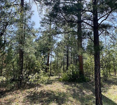 2nd image of 2051 S Trillium Ln