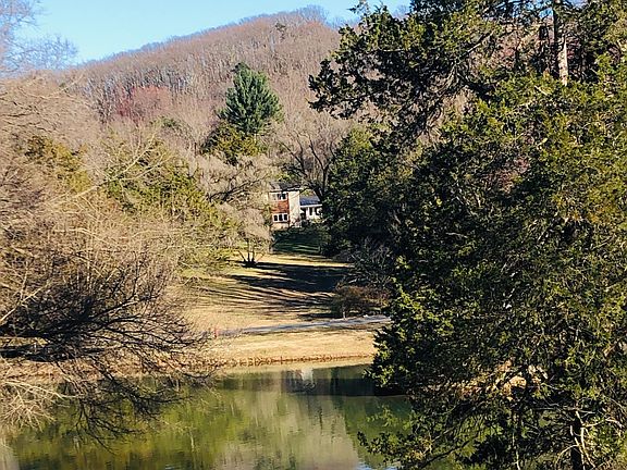 View from across pond