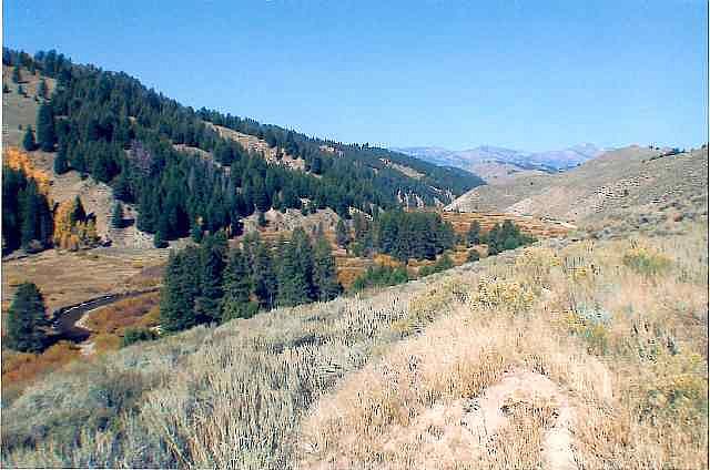2nd image of 35 Byrams Smokey Cabins