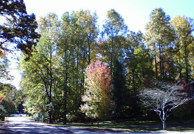 1st image of 423 Hermitage Ave