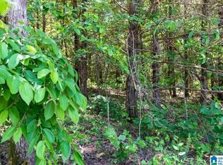 Corner Mountain Rd, Carbon Hill, AL 35549