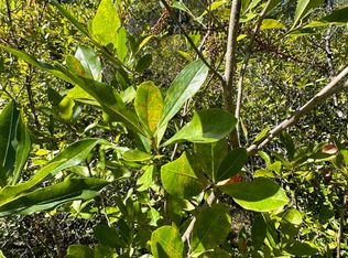 PARCEL Millside Rd #D, Laurel Hill, FL 32567