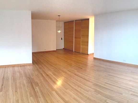 3rd image of 1000 N Lake Shore Dr APT 1004