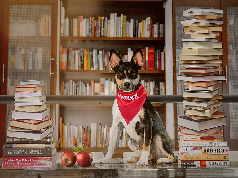 Our canine friends enjoy the library in this pet friendly community!
