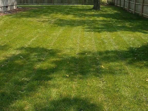 5th image of 353 Green Acres Dr