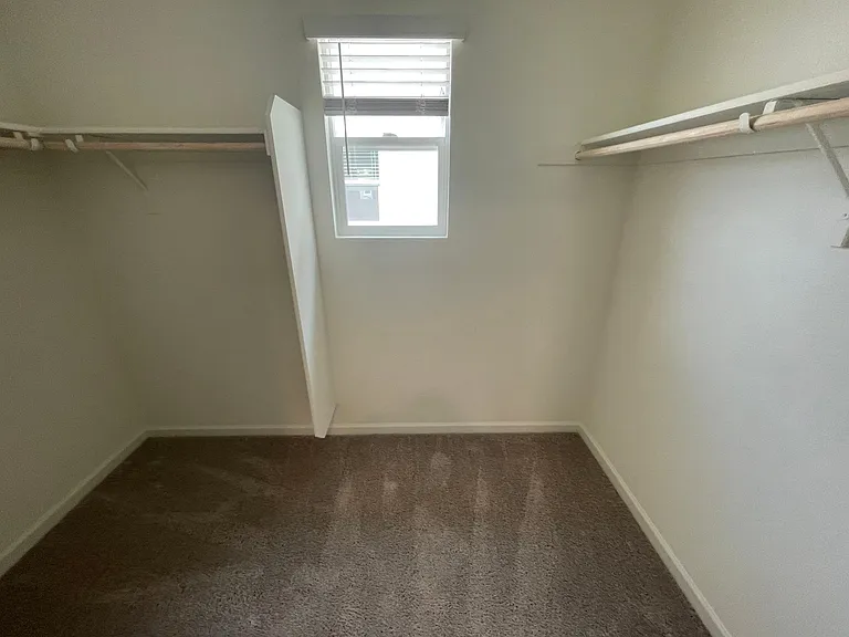 3434 Auburn Leaf Loop — Photo 12
