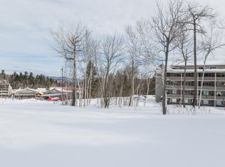 8 Cascade Drive #C17, Newry, ME 04261