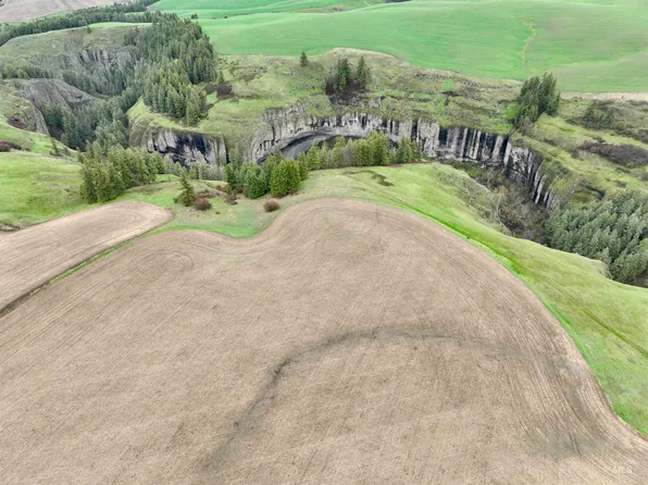 Younger Rd, Craigmont, ID 83523