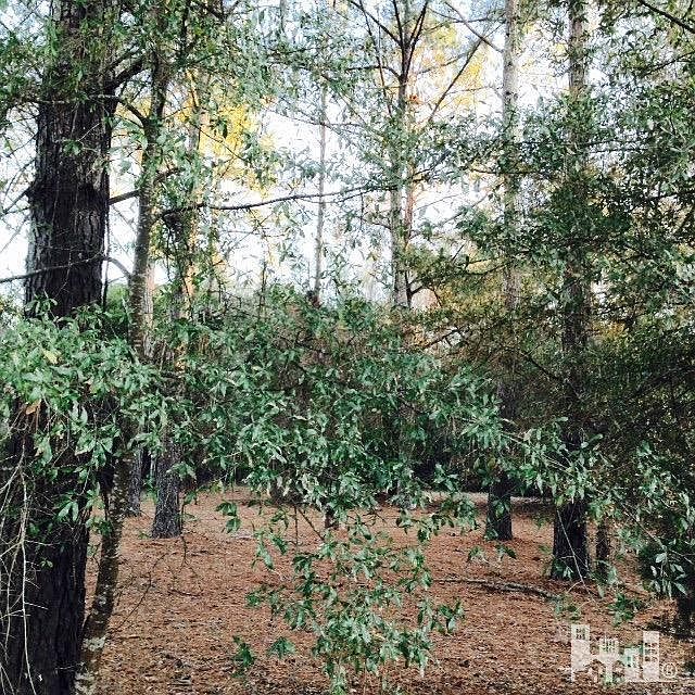 1st image of 400 Black Diamond Dr