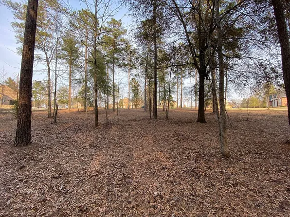 504 Carson Ct, Bonaire, GA 31005