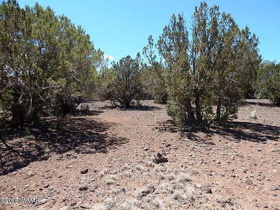 2nd image of 8337 Navajo Dr