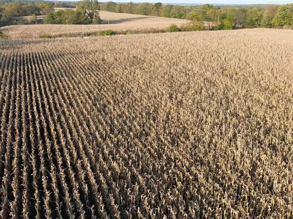 60A Silver Trl, Floris, IA 52560