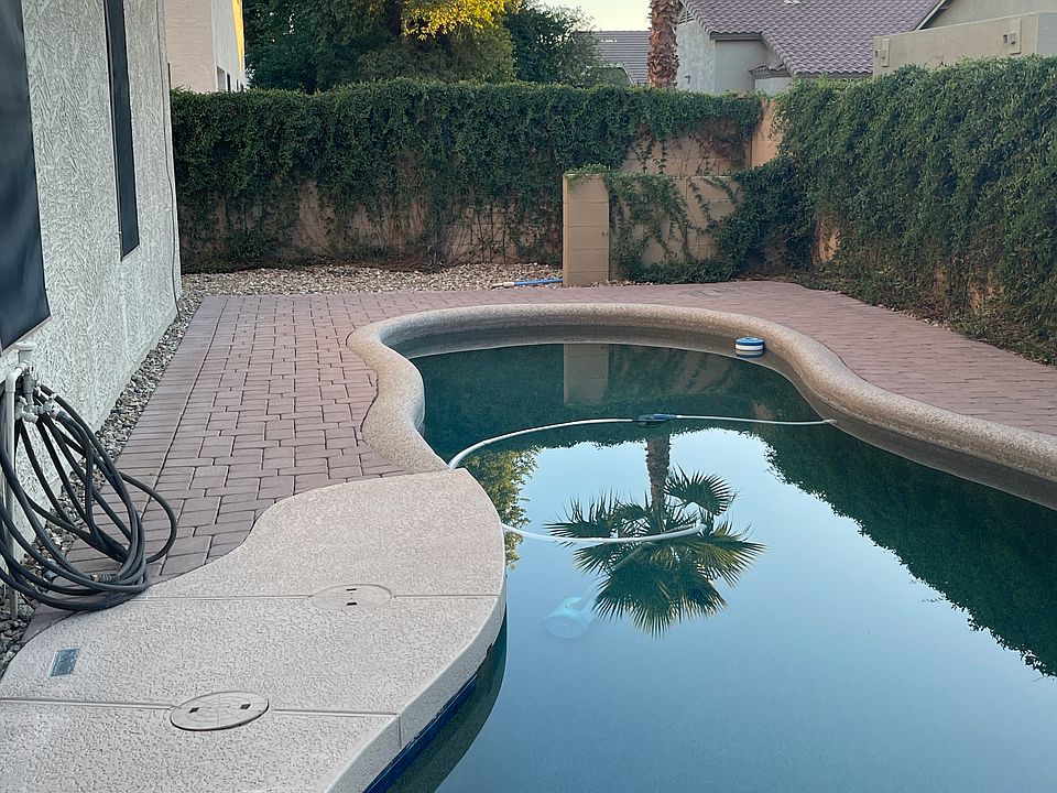Backyard pool surrounded by deck and pavers, with cats claw vines on the block walls.