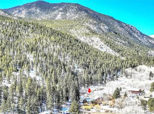 436 Silver Lakes Dr, Dumont, CO 80436